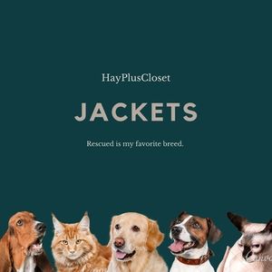 Jacket 🧥 category